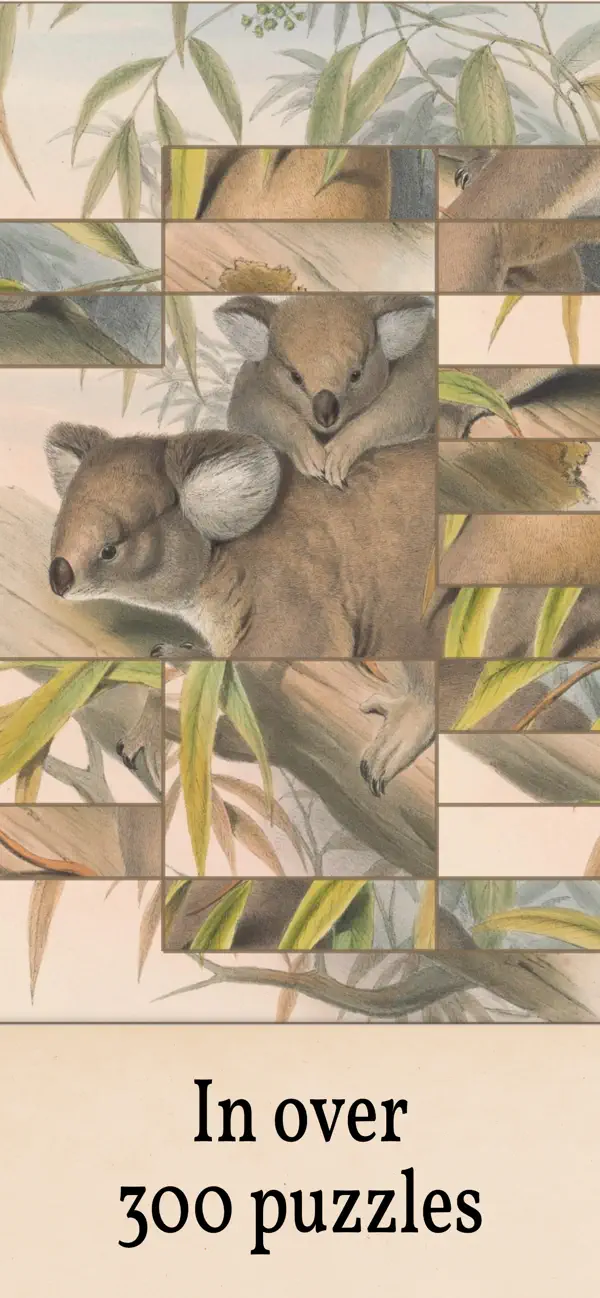 Art of Fauna: Cosy Puzzles+ screenshot 3 of 8